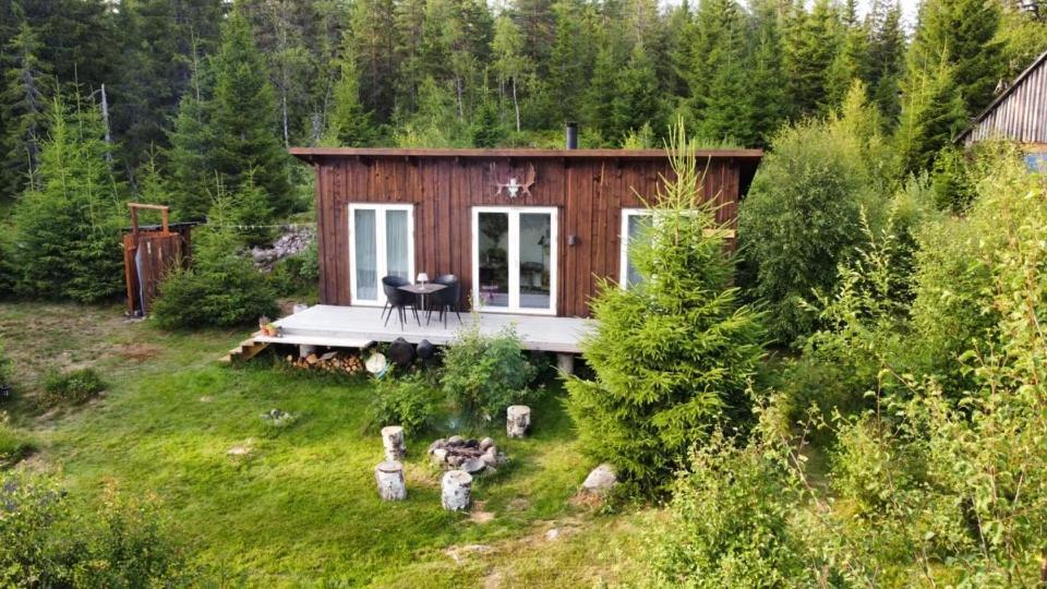 Cozy Forest Cabin With Amazing Mountain View Torsby Exteriér fotografie