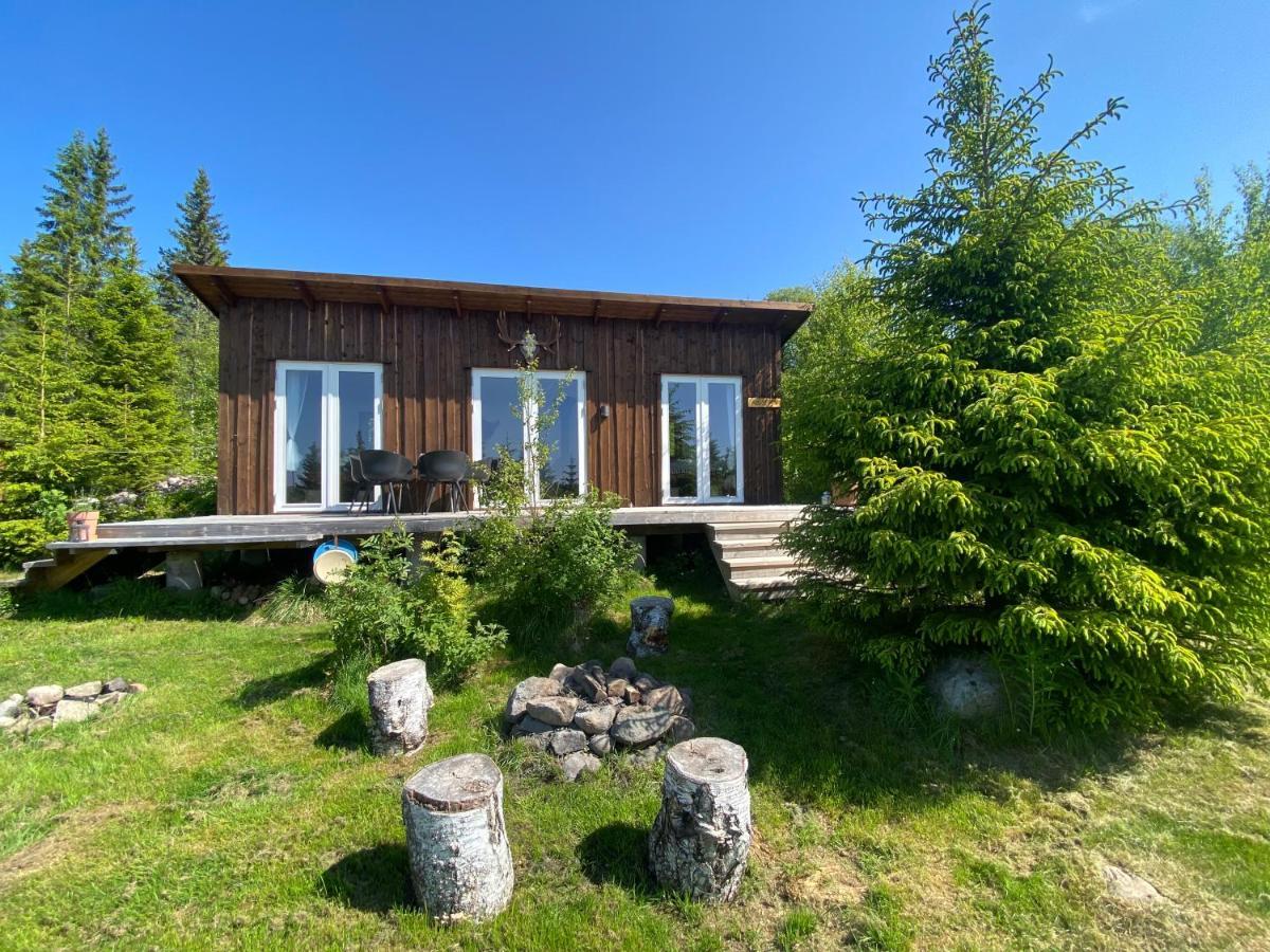Cozy Forest Cabin With Amazing Mountain View Torsby Exteriér fotografie