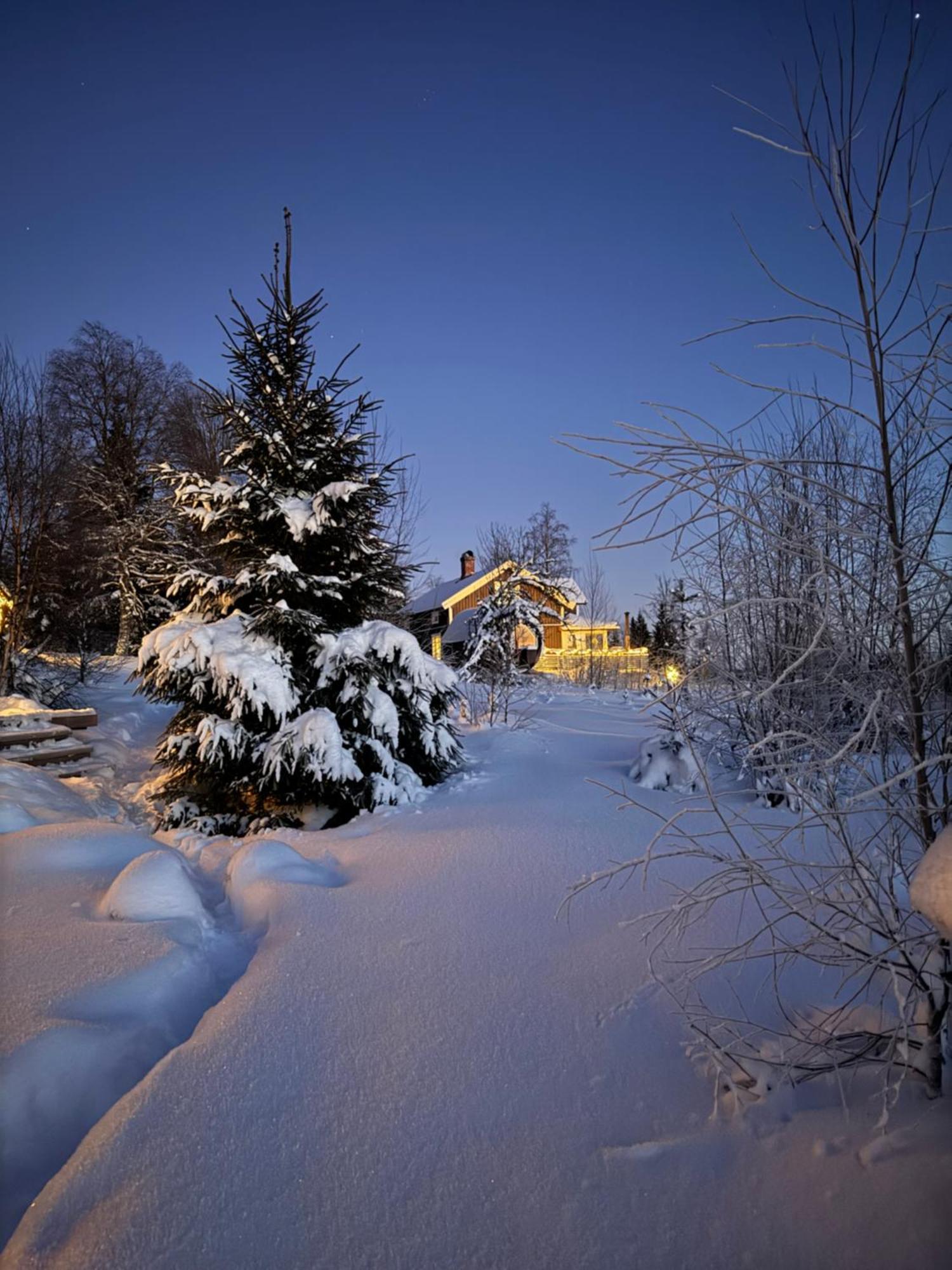 Cozy Forest Cabin With Amazing Mountain View Torsby Exteriér fotografie