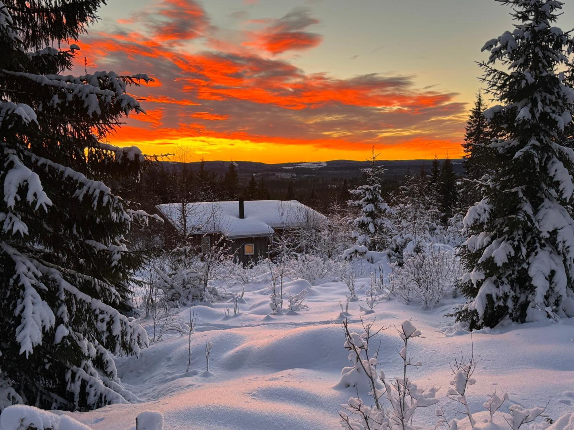 Cozy Forest Cabin With Amazing Mountain View Torsby Exteriér fotografie