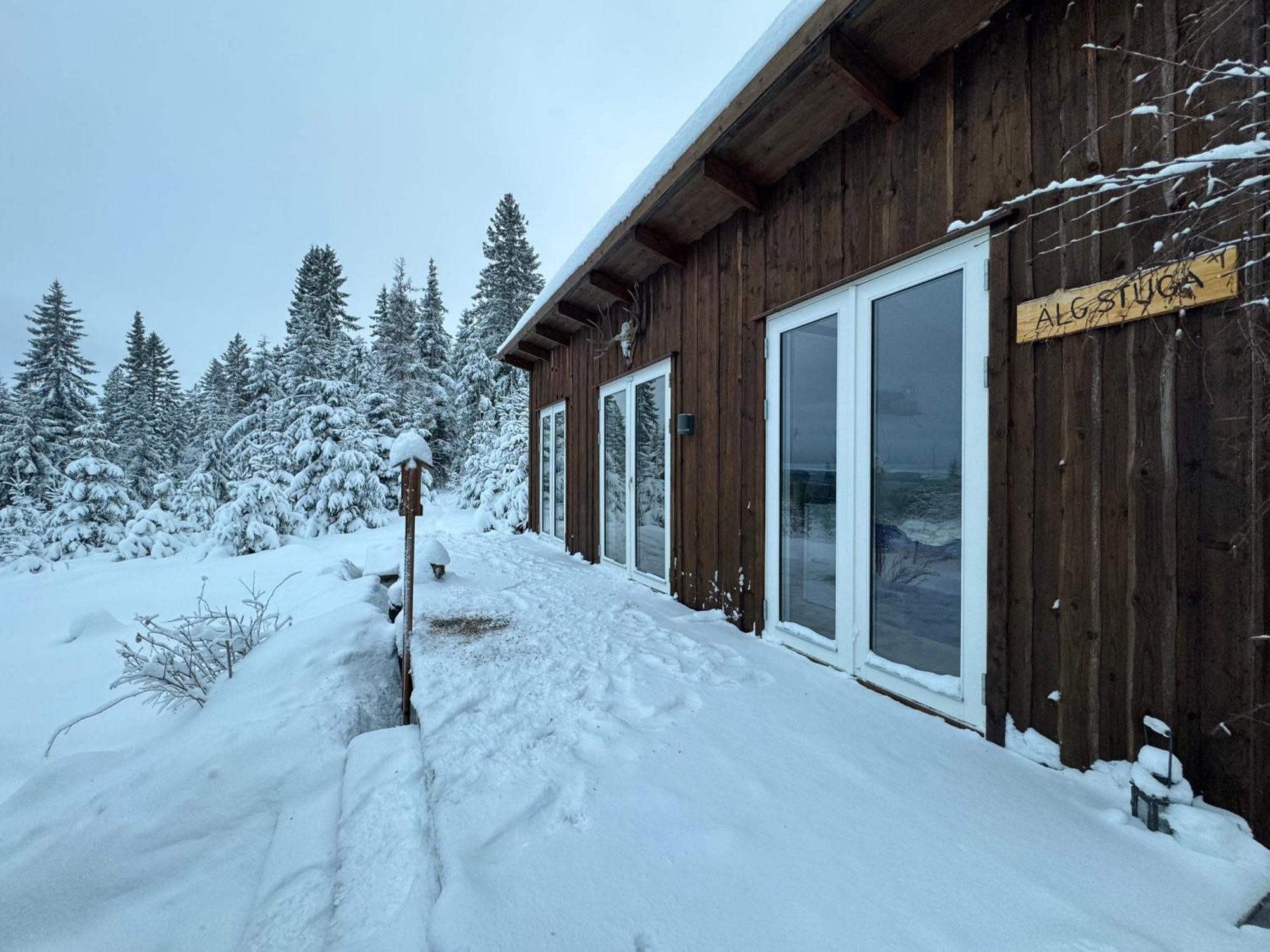 Cozy Forest Cabin With Amazing Mountain View Torsby Exteriér fotografie