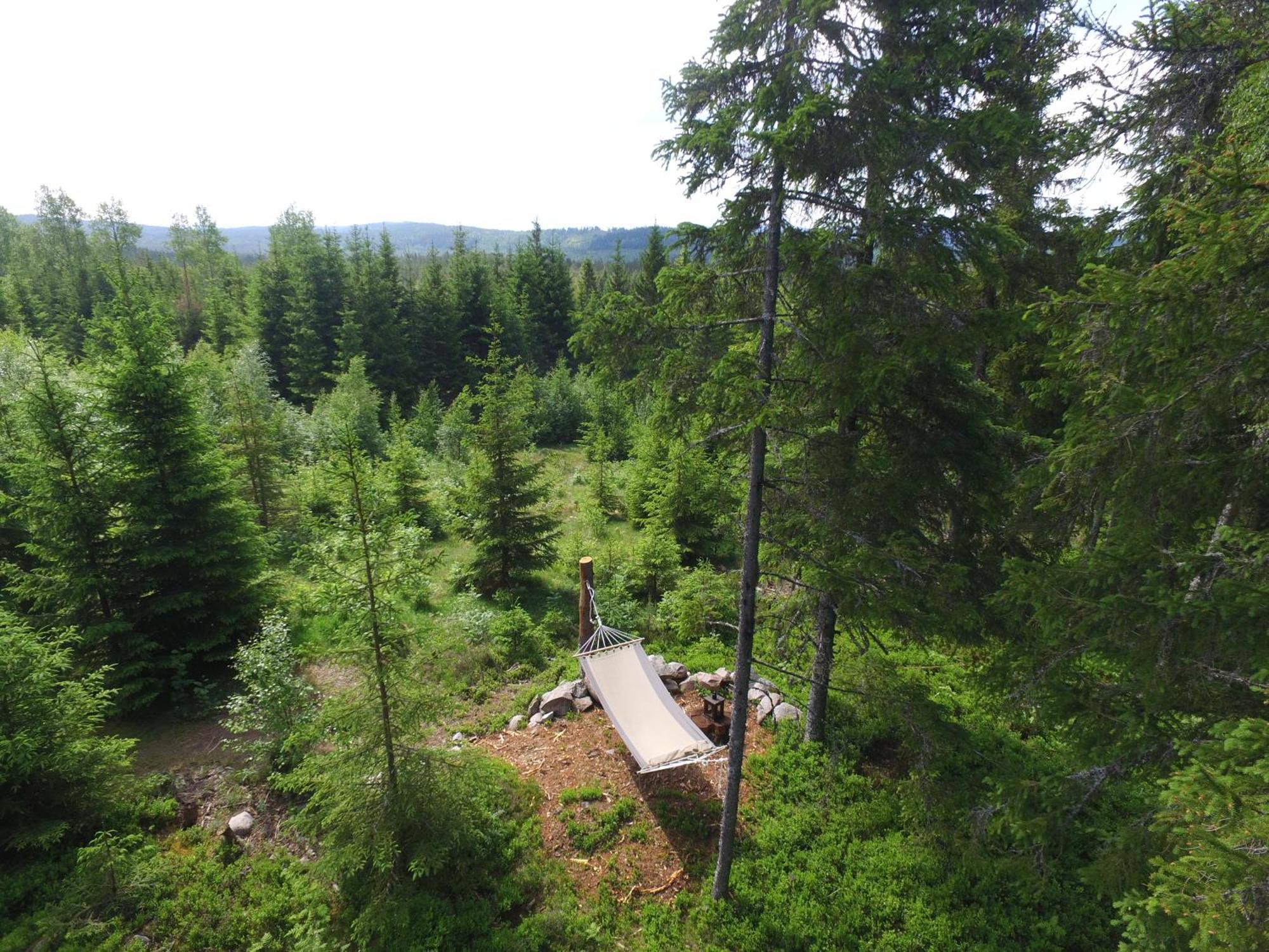 Cozy Forest Cabin With Amazing Mountain View Torsby Exteriér fotografie